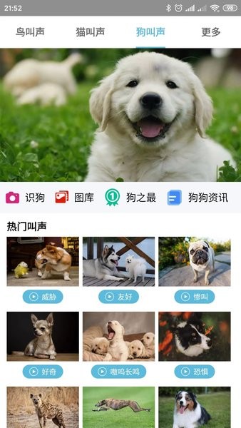 鸟叫声大全  v5.0.3图2