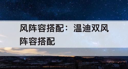 风阵容搭配：温迪双风阵容搭配