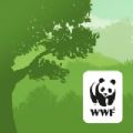 WWF森林2024