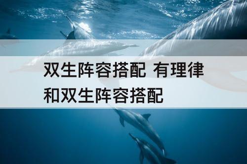 双生阵容搭配 有理律和双生阵容搭配