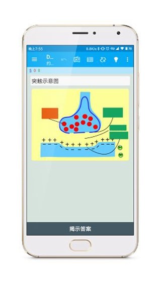 Anki涂鸦制卡app  v1.2.1图1