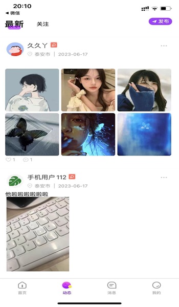 叶幕  v1.0.3图1