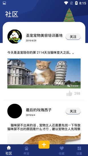 宝贝宠物手机版下载安装最新版本苹果12S  v1.0.2图2