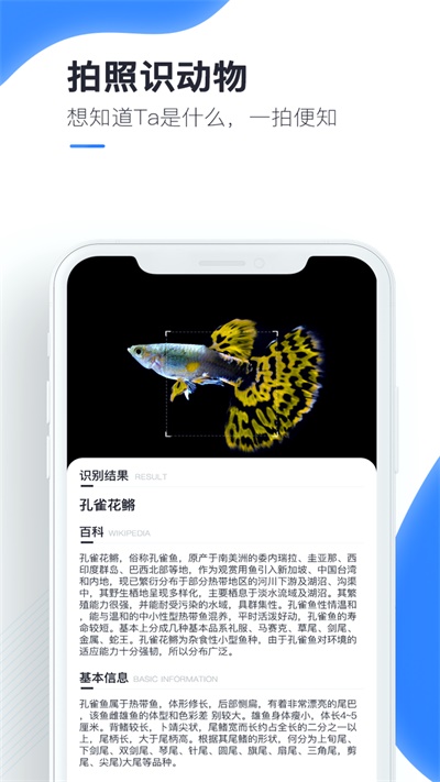 百科扫描王手机版下载安装官网免费  v1.0.0图1