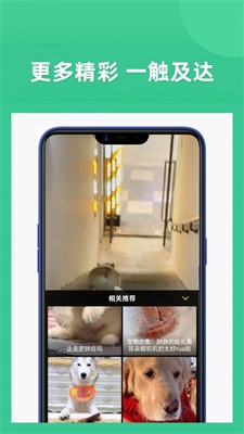 享福视频2024  v1.3图1