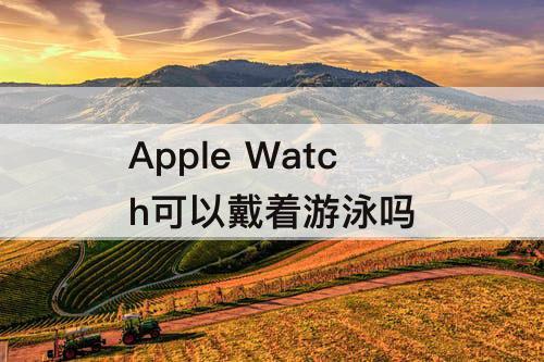 Apple Watch可以戴着游泳吗