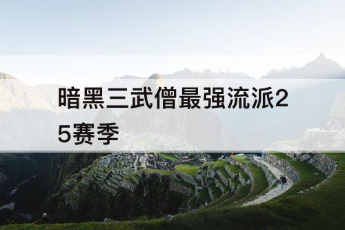 暗黑三武僧最强流派25赛季