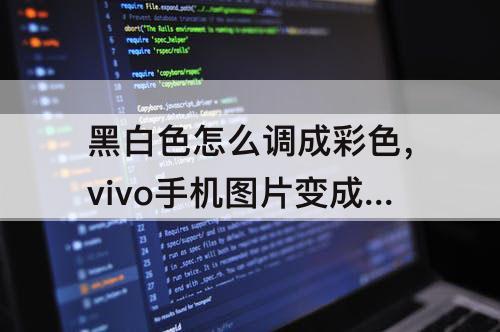 黑白色怎么调成彩色，vivo手机图片变成黑白色怎么调成彩色