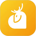 小鹿情感app下载安装官网最新版本苹果11.13