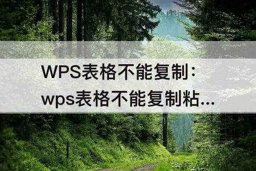 WPS表格不能复制：wps表格不能复制粘贴图片