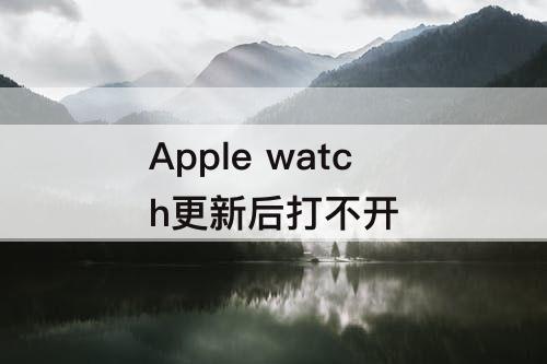 Apple watch更新后打不开