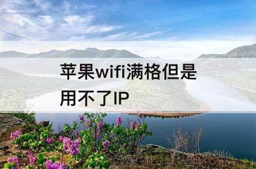 苹果wifi满格但是用不了IP