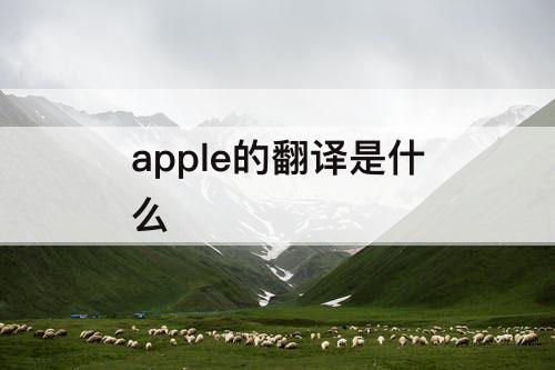 apple的翻译是什么