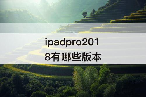 ipadpro2018有哪些版本