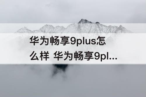 华为畅享9plus怎么样 华为畅享9plus怎么样是什么时候出的