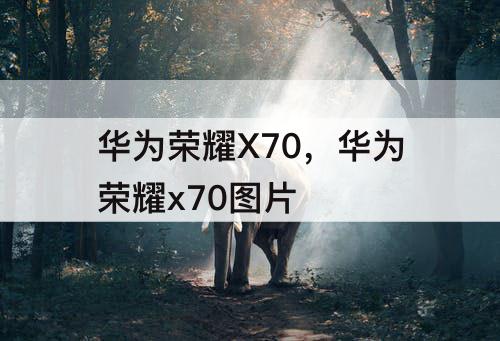 华为荣耀X70，华为荣耀x70图片