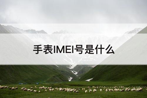 手表IMEI号是什么