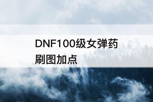 DNF100级女弹药刷图加点