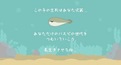 虚无鱼baspi版本1.1.6