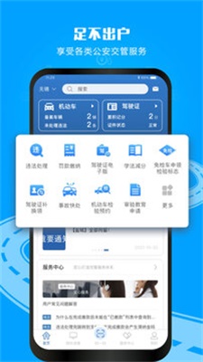 12123交管官网苹果下载app  v2.9.2图2