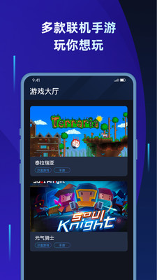 2021蒲公英联机平台免费版  v1.2图3