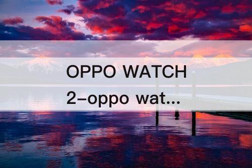 OPPO WATCH2-oppo watch2怎么看海拔