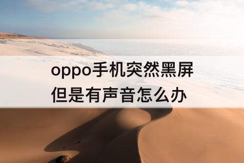 oppo手机突然黑屏但是有声音怎么办