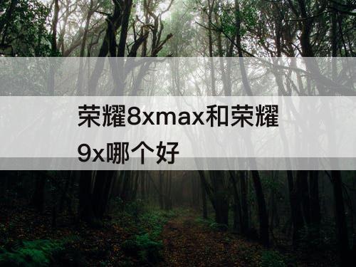 荣耀8xmax和荣耀9x哪个好