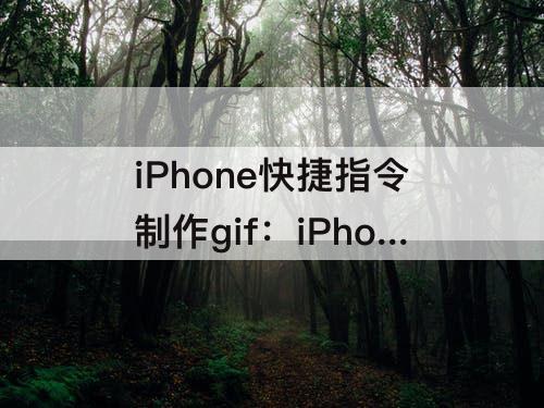 iPhone快捷指令制作gif：iPhone快捷指令制作gif不动