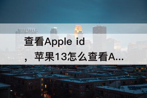 查看Apple id，苹果13怎么查看Apple ID