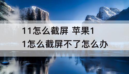 11怎么截屏 苹果11怎么截屏不了怎么办