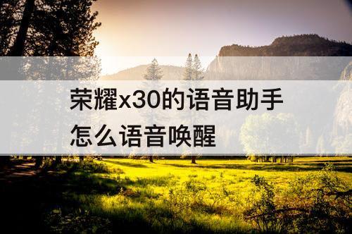 荣耀x30的语音助手怎么语音唤醒