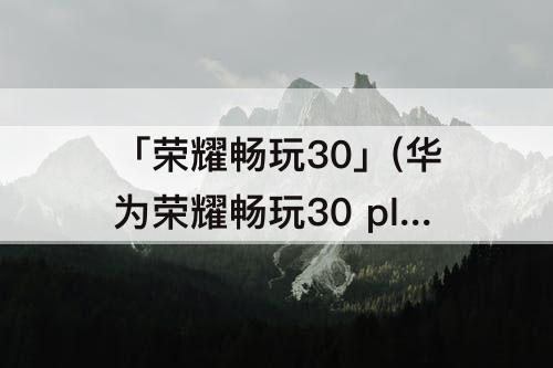 「荣耀畅玩30」(华为荣耀畅玩30 plus)