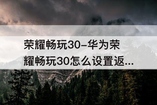 荣耀畅玩30-华为荣耀畅玩30怎么设置返回键