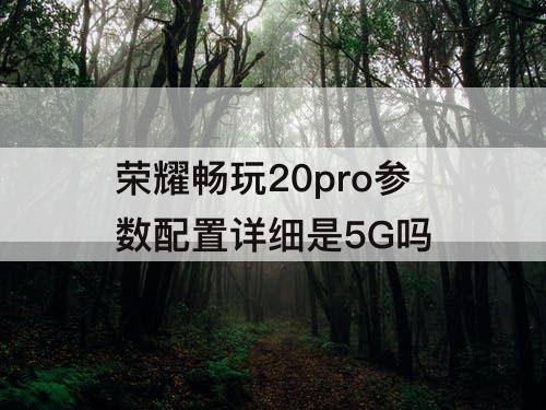 荣耀畅玩20pro参数配置详细是5G吗