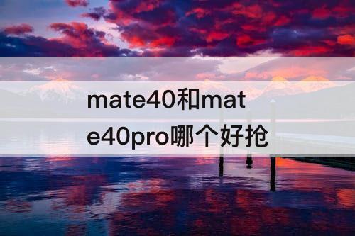 mate40和mate40pro哪个好抢