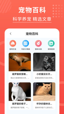 猫猫翻译器  v3.2.5图2