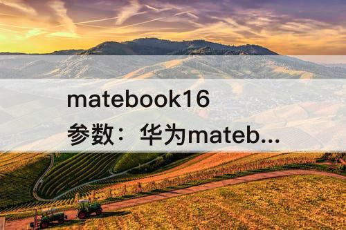 matebook16参数：华为matebook16参数 CREM WFG9