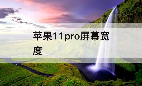 苹果11pro屏幕宽度