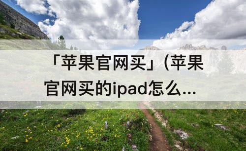 「苹果官网买」(苹果官网买的ipad怎么查物流)