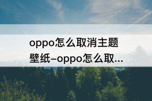 oppo怎么取消主题壁纸-oppo怎么取消主题壁纸使用