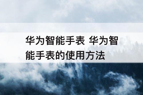 华为智能手表 华为智能手表的使用方法