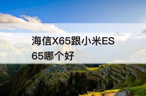 海信X65跟小米ES65哪个好