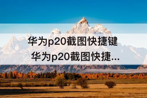 华为p20截图快捷键 华为p20截图快捷键怎么设置