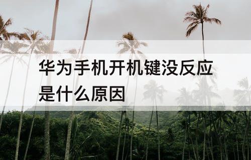 华为手机开机键没反应是什么原因