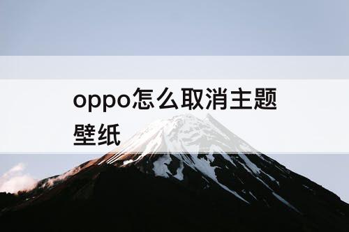 oppo怎么取消主题壁纸