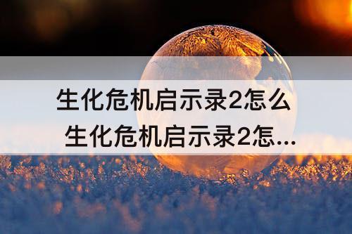 生化危机启示录2怎么 生化危机启示录2怎么双人