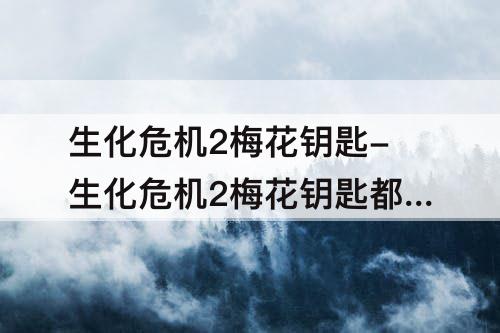 生化危机2梅花钥匙-生化危机2梅花钥匙都开什么房间