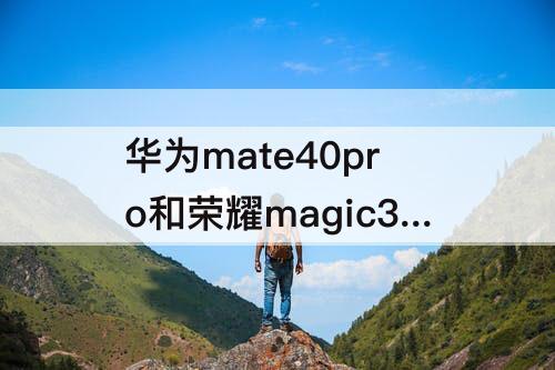 华为mate40pro和荣耀magic3pro屏幕 华为mate40pro和荣耀Magic3pro屏幕一样吗