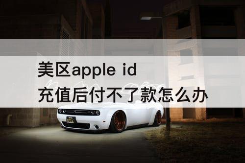 美区apple id充值后付不了款怎么办